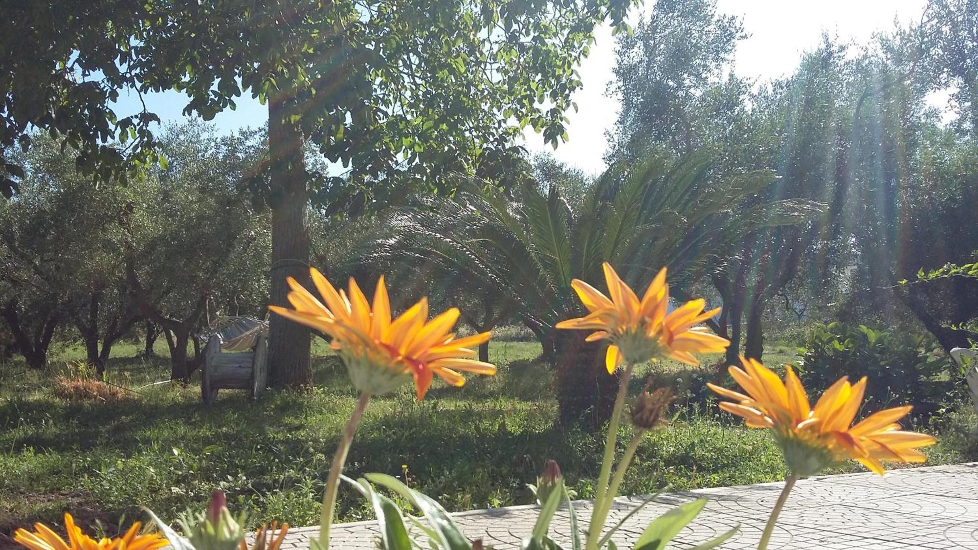 Agriturismo Santa Maria มาร์ตา ภายนอก รูปภาพ