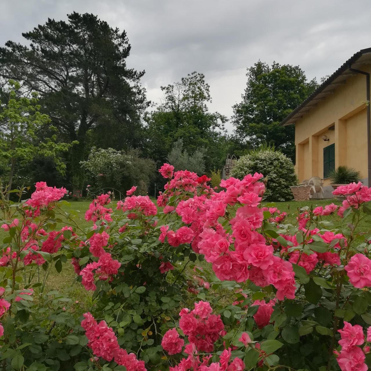 Agriturismo Santa Maria มาร์ตา ภายนอก รูปภาพ